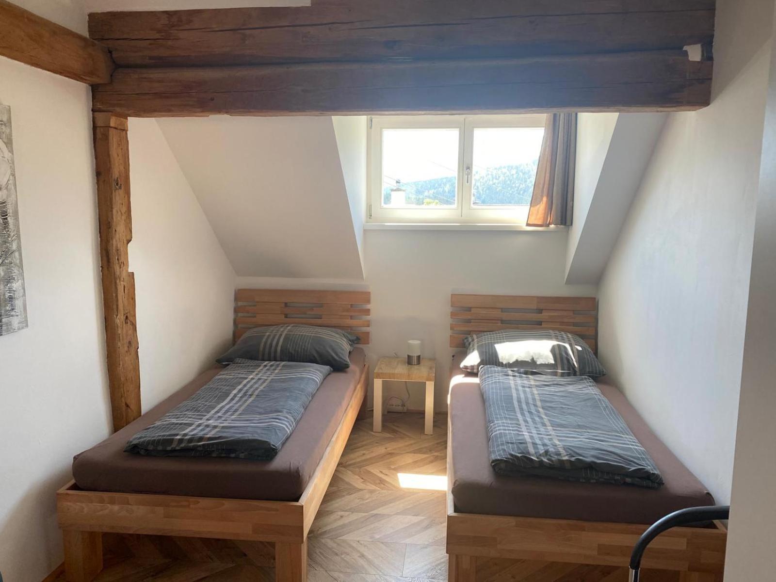 באד מיטרנדורף Haus Kampl - Appartement Aussee מראה חיצוני תמונה